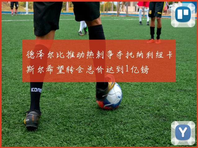 德泽尔比推动热刺争夺托纳利纽卡斯尔希望转会总价达到1亿镑